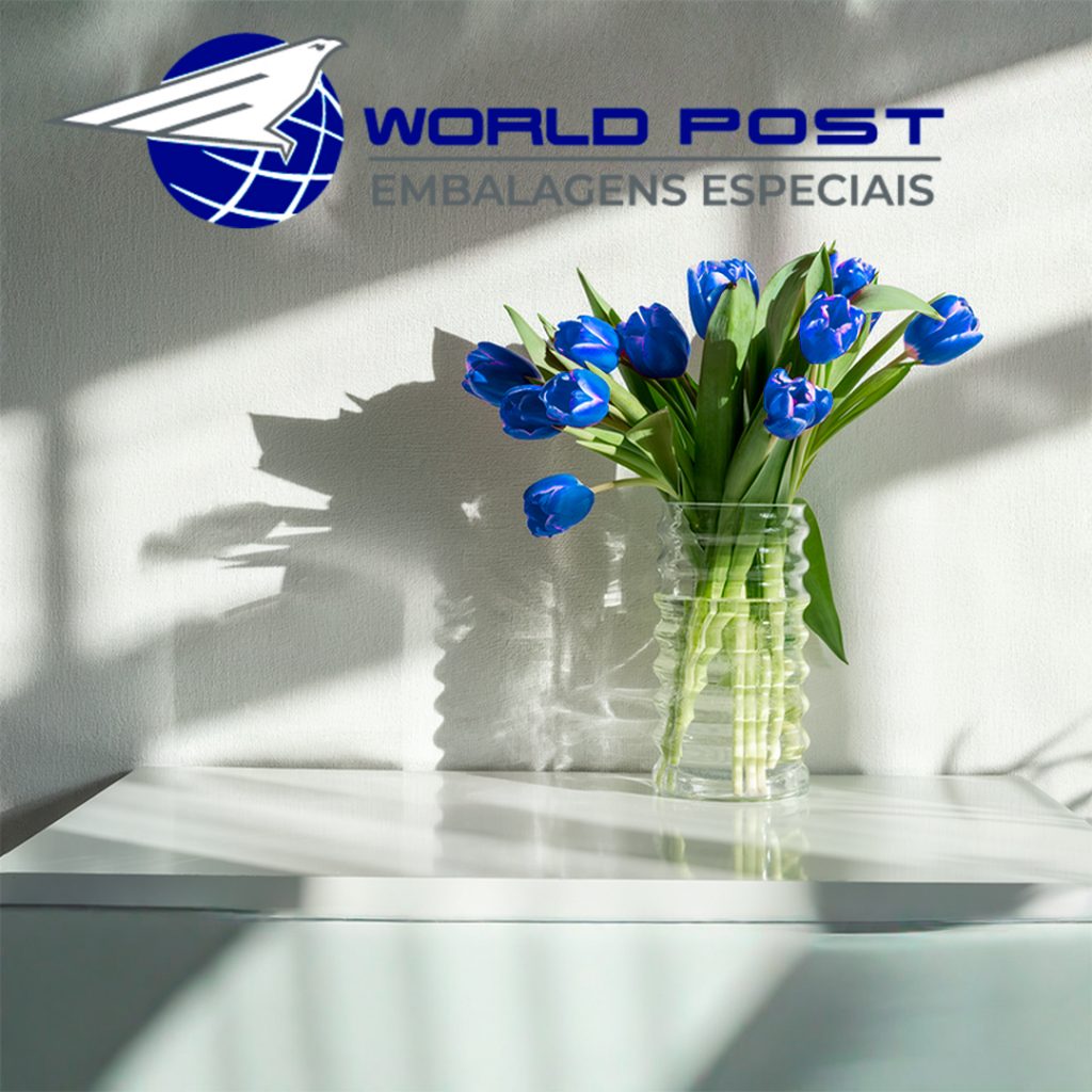 Semana da Mulher World Post