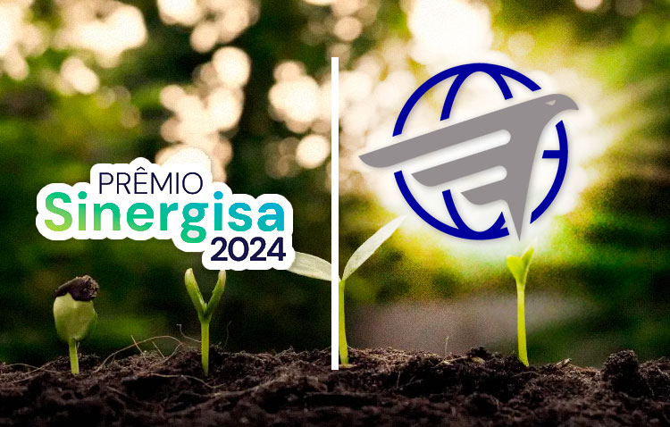 previa-sinergisa-2024